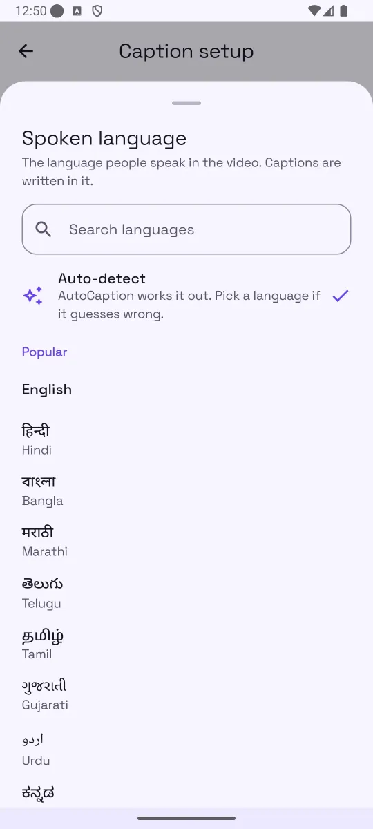 Spoken language sheet listing Auto-detect and popular languages in their native scripts, including Hindi, Bangla, Marathi, Telugu, Tamil, Gujarati and Urdu